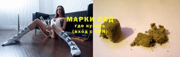 прущий лед Аркадак