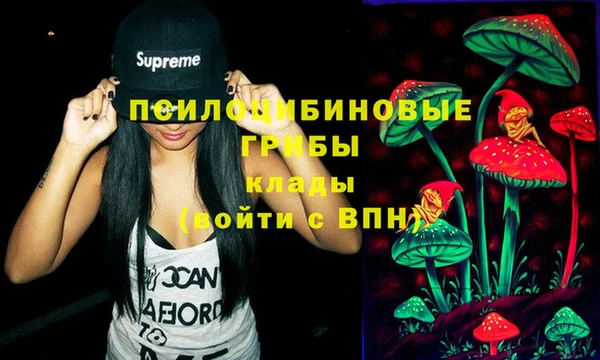 крисы Семикаракорск