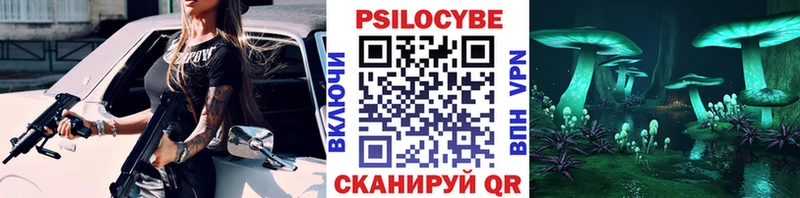 площадка официальный сайт  Чёрмоз  Галлюциногенные грибы Psilocybine cubensis 